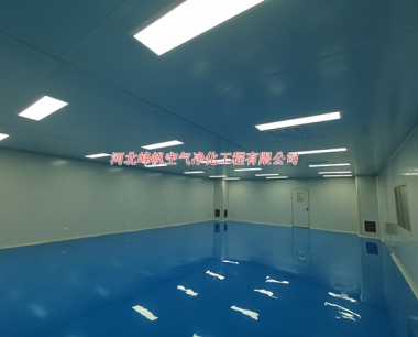 河北特洁特医疗器械洁净车间工程