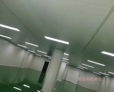 保定日化用品净化厂房洁净间设计施工找华体会网页版