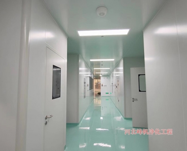保定净化厂房公司食品净化厂房建设找华体会网页版工程