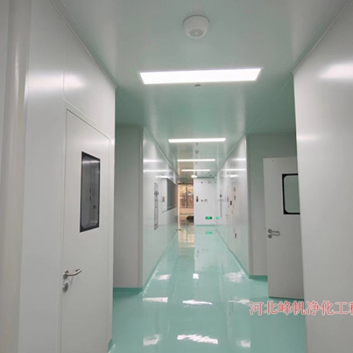保定净化厂房公司食品净化厂房建设找华体会网页版工程
