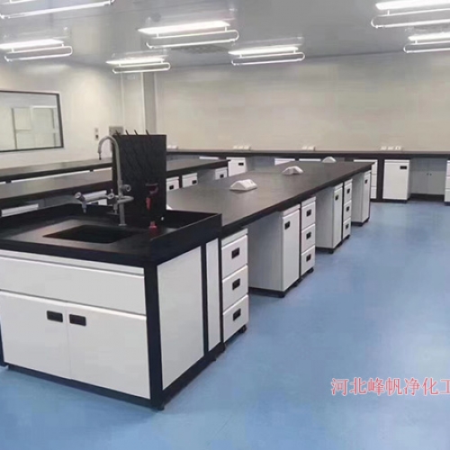 石家庄实验室净化,P2P3华体会huatihui(中国) 设计施工