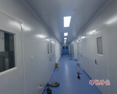 廊坊净化厂房食品净化车间装修施工厂家华体会网页版
