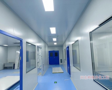 河北瑞腾曼医疗器械净化车间改造工程