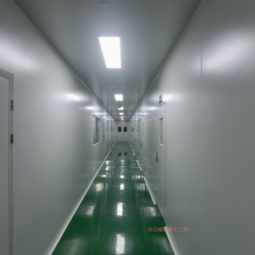 石家庄博瑞合成材料化妆品净化厂房工程