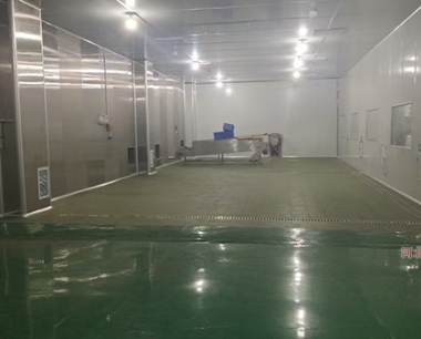 河北华岱食品净化车间工程
