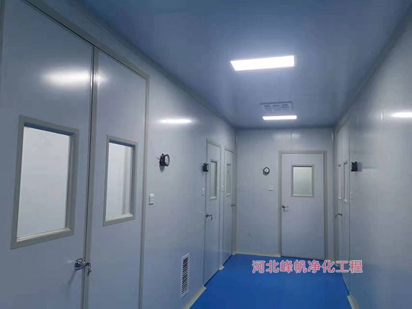 邢台食品净化厂房D级净化车间设计施工找河北华体会网页版