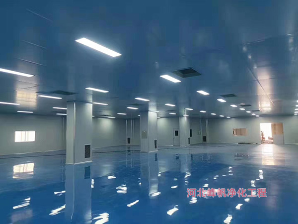 河北茶制品净化厂房 无菌车间设计施工优选华体会网页版工程